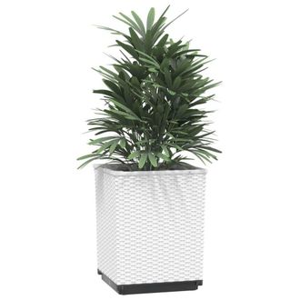 Berkfield Home Planters 4 pcs White 30x30x37 cm Polypropylene | Size: 30 x 30 x 37 cm