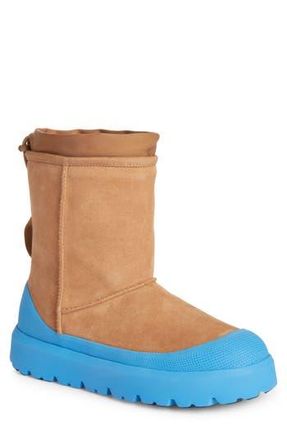 UGG Classic Short Hybrid Winter Boot in Cbg at Nordstrom Rack, Size 12