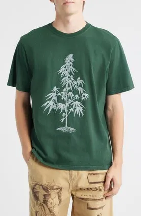 One Of These Days Away Go Trouble Graphic T-Shirt in Washed Forest Green at Nordstrom Rack, Size Medium