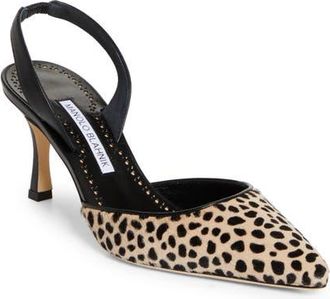 Manolo Blahnik Carolyne Genuine Calf Hair Slingback Pump in Black/ivory at Nordstrom, Size 10.5Us