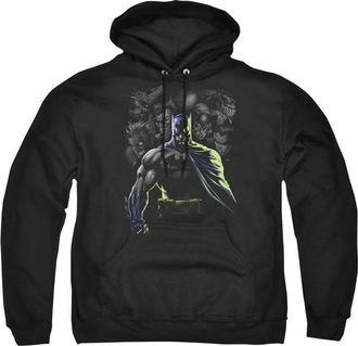 Gildan Batman Villains Unleashed Adult Pull Over Hoodie / Hooded Sweatshirt