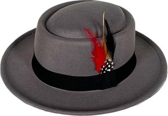 Generic Mens Pork Pie Hat with Rolled Brim, Cotton-Polyester with Feather Detail, Classic Jazz Hat(Grey)