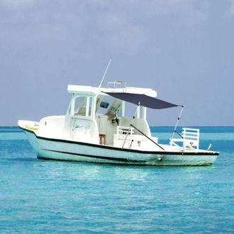 vidaXL Toldo T-top Extensi&oacute;n Azul Marino 170x208x(115-183) Cm Vidaxl