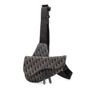 Dior Pre-owned Dior Oblique Canvas Saddle Crossbody 02-BO-1119