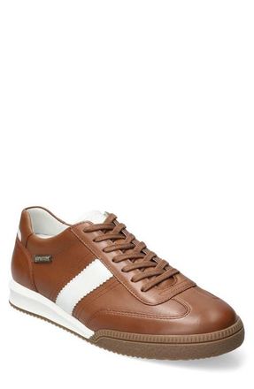 Mephisto Elyo Sneaker in Hazelnut at Nordstrom, Size 10.5
