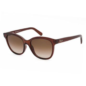 Ferragamo SF834S 210 Transparent Brown/Brown