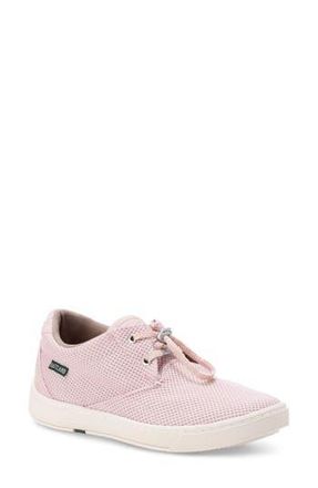 Eastland Beacon Sneaker in Pink at Nordstrom Rack, Size 6.5