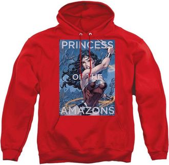 Gildan Justice League of America Princess Of The Amazons Adult Pull Over Hoodie / Hooded Sweatshirt