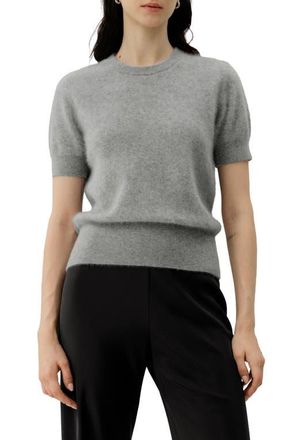 LilySilk Brushed Cashmere Short-Sleeve Sweater in Foggy at Nordstrom, Size X-Large