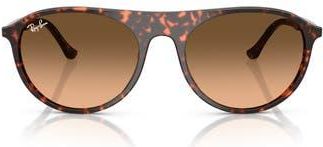 Ray-Ban 56mm Oval Sunglasses in Red Havana at Nordstrom Rack