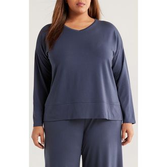 Eileen Fisher Boxy Long Sleeve V-Neck Top in Ocean at Nordstrom, Size 3X