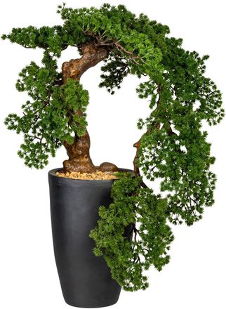 Leonique Kunstbonsai