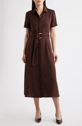 Julia Jordan Belted Midi Shirtdress in Chocolate at Nordstrom, Size 16