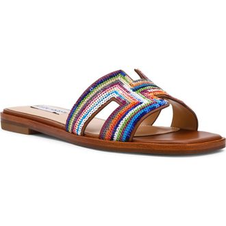 Steve Madden Hadyn Sequin Slide Sandal in Multi Brown at Nordstrom, Size 6.5