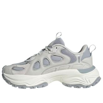adidas (WMNS) adidas Shadow Valley Grey Silver Metallic JQ7620