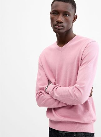 Le 31 Mens Minimalist V-neck sweater