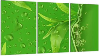 OEM Placa Protectora De Vidrio Para Estufa 3x30x52