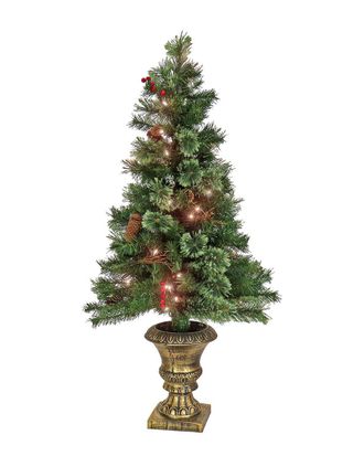 National Tree Company 4ft Glistening Pine Entrance Tree with Clear Lights