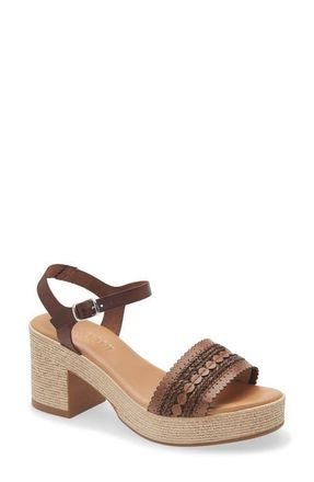 Cordani Markelle Espadrille Ankle Strap Platform Sandal in Brown Leather at Nordstrom, Size 6.5Us