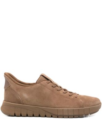Geox Flextride Plus sneakers - women - Polyester/Calf Suede/Rubber/Polyamide/Polyamide/Polyurethane - 36 - Brown