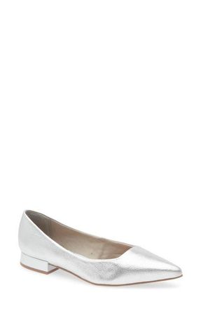 Bottero Alessandra Pointed Toe Ballet Flat in Prata at Nordstrom, Size 11