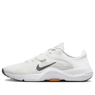 Nike In-Season TR 13 Light Silver Iron Grey DZ9360-006