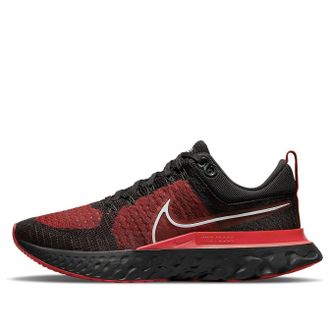 Nike React Infinity Run Flyknit 2 Bred CT2357-006