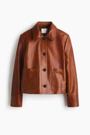 H&M Leather Jacket in Brown at Nordstrom, Size X-Small