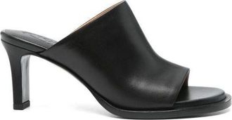 Tod's Mule