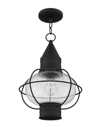 Livex Lighting Livex Newburyport 1-Light Black Outdoor Chain Lantern