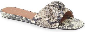 Kurt Geiger Kensington Snakeskin Embossed Slide Sandal in Open Brown at Nordstrom, Size 5Us