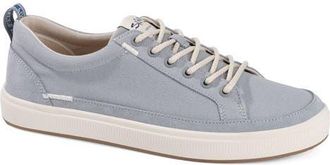 Salt Life The Coast Sneaker in Grey at Nordstrom, Size 11.5
