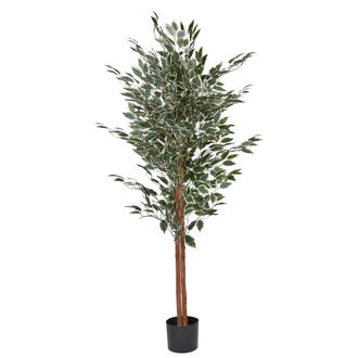 Beliani Planta Artificial En Maceta Para Interior Decoraci&oacute;n De Pl&aacute;stico Maceta Negra 167 Cm Ficus Tree