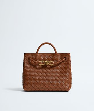 Bottega Veneta Small Andiamo - Brown - Women