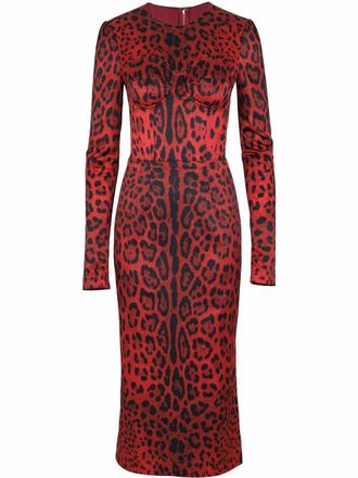 Dolce & Gabbana leopard-print mid-length dress - women - Spandex/Elastane/Polyester/Spandex/Elastane/Silk/Acetate - 36 - Red