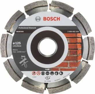 Bosch Disco De Diamante Diamante Expert Mortar: 125x6x7mm - Bosch