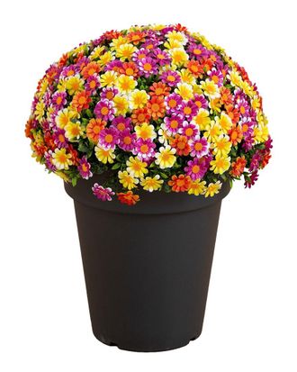 Nearly Natural 18In Uv-Resistant Artificial Mixed Daisy Plant (Indoor/Outdoor)