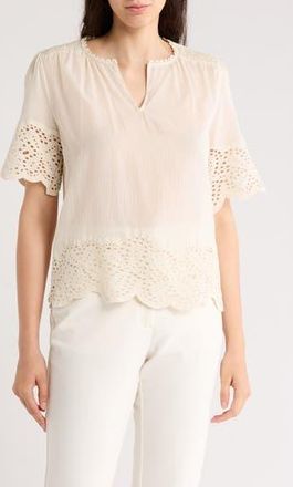 T Tahari Embroidered Cotton Top in Cloud at Nordstrom Rack, Size X-Large