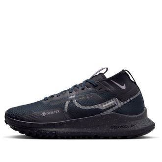 Nike (WMNS) Nike React Pegasus Trail 4 GTX Dark Obsidian Metallic Silver FZ4343-400