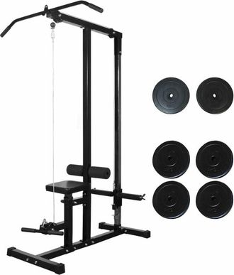 vidaXL Vidaxl M&aacute;quina De Musculaci&oacute;n Con Discos De Peso 40 Kg