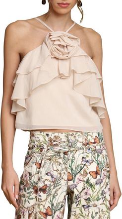 Avec Les Filles Rosette Ruffle Neck Halter Top in Buttercream at Nordstrom, Size X-Large