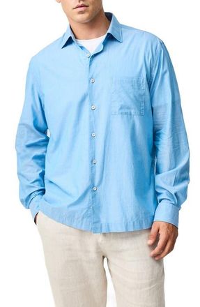 Rodd & Gunn Parsons Hill Cotton Button-Up Shirt in Sky at Nordstrom, Size Xxx-Large