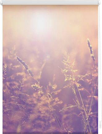 Lichtblick Original Seitenzugrollo »Klemmfix Motiv Sommerabend« Lichtschutz ohne Bohren freihängend bedruckt