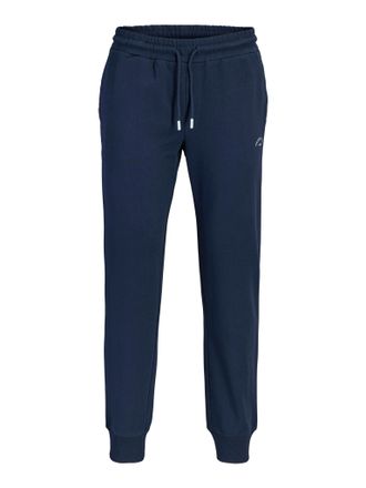 Jack & Jones Plus Size Sweathose JPSTGORDON COLLEGE SWEAT PANTS PLS, Herren, Gr. 42 (4XL), N-Gr, navy blazer, angeraute Sweatware, Obermaterial: 80% Baumwolle, 20% Polyester