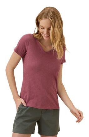 Pact Organic Cotton Featherweight Slub V-Neck Tee in Mauve at Nordstrom, Size Large