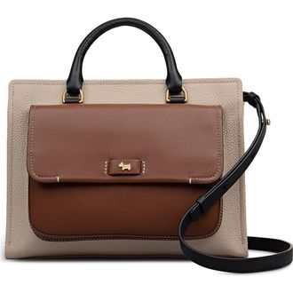 Radley London Talbot Way Medium Zip Top Leather Satchel in Porcini at Nordstrom Rack