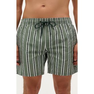 Scalpers Stripes Swimsuit in Khaki at Nordstrom, Size Xx-Large Eu