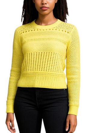 Bishop + Young Good Sport Pointelle Sweater in Citrus at Nordstrom, Size X-Small