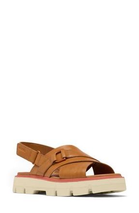Sorel REIN CB Crisscross Sandal in Canyon Gold/Bleached Ceramic at Nordstrom Rack, Size 9