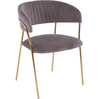 Premier Housewares Interiors by Premier Soft Mink Velvet Dining Chair, Modern Dining Armchair, Mink and Gold Luxury Dining Chair for Home, Lounge